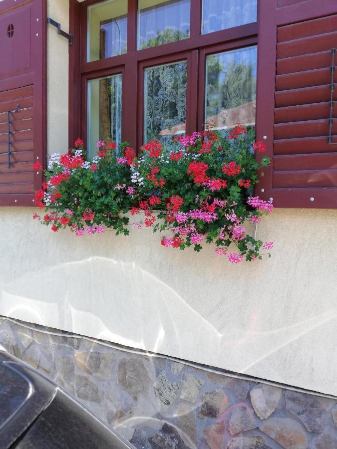 Apartament Roza Braşov Buitenkant foto