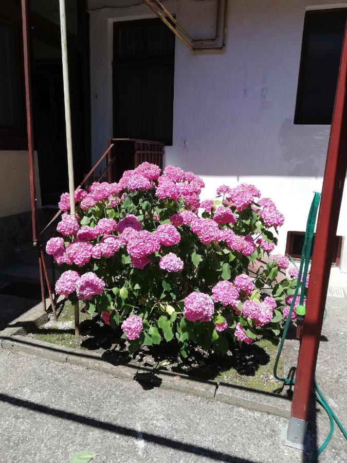 Apartament Roza Braşov Buitenkant foto