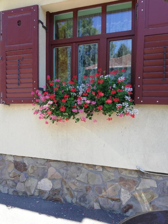 Apartament Roza Braşov Buitenkant foto