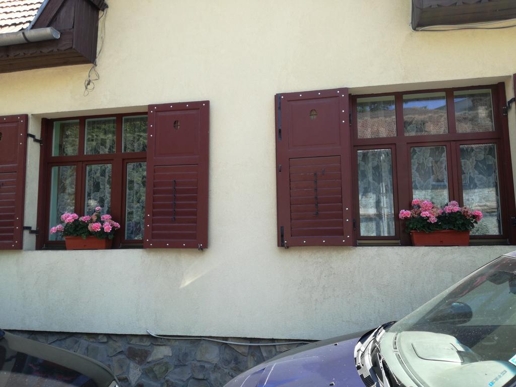 Apartament Roza Braşov Buitenkant foto