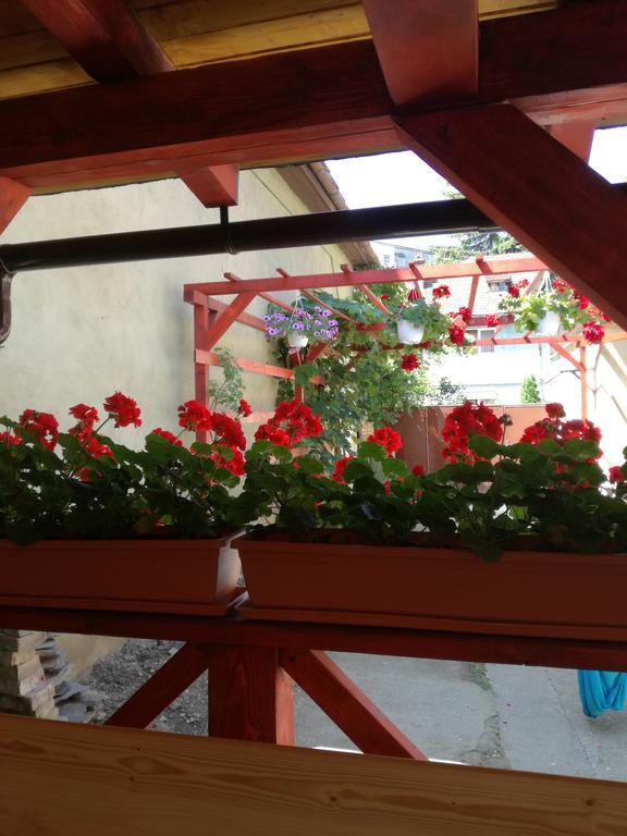 Apartament Roza Braşov Buitenkant foto