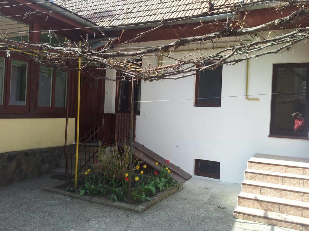 Apartament Roza Braşov Buitenkant foto